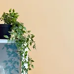 Thermae Loft Апартаменты Варна