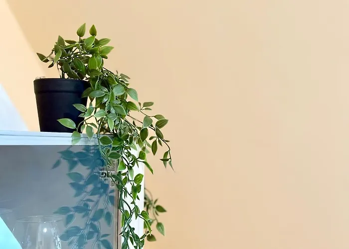 Thermae Loft شقة فارنا